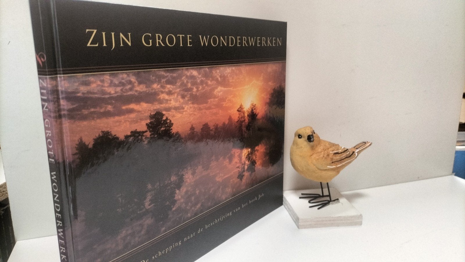 Roodbeen, J.; Zijn grote wonderwerken, Ophalen of Verzenden, Gelezen, Christendom | Protestants