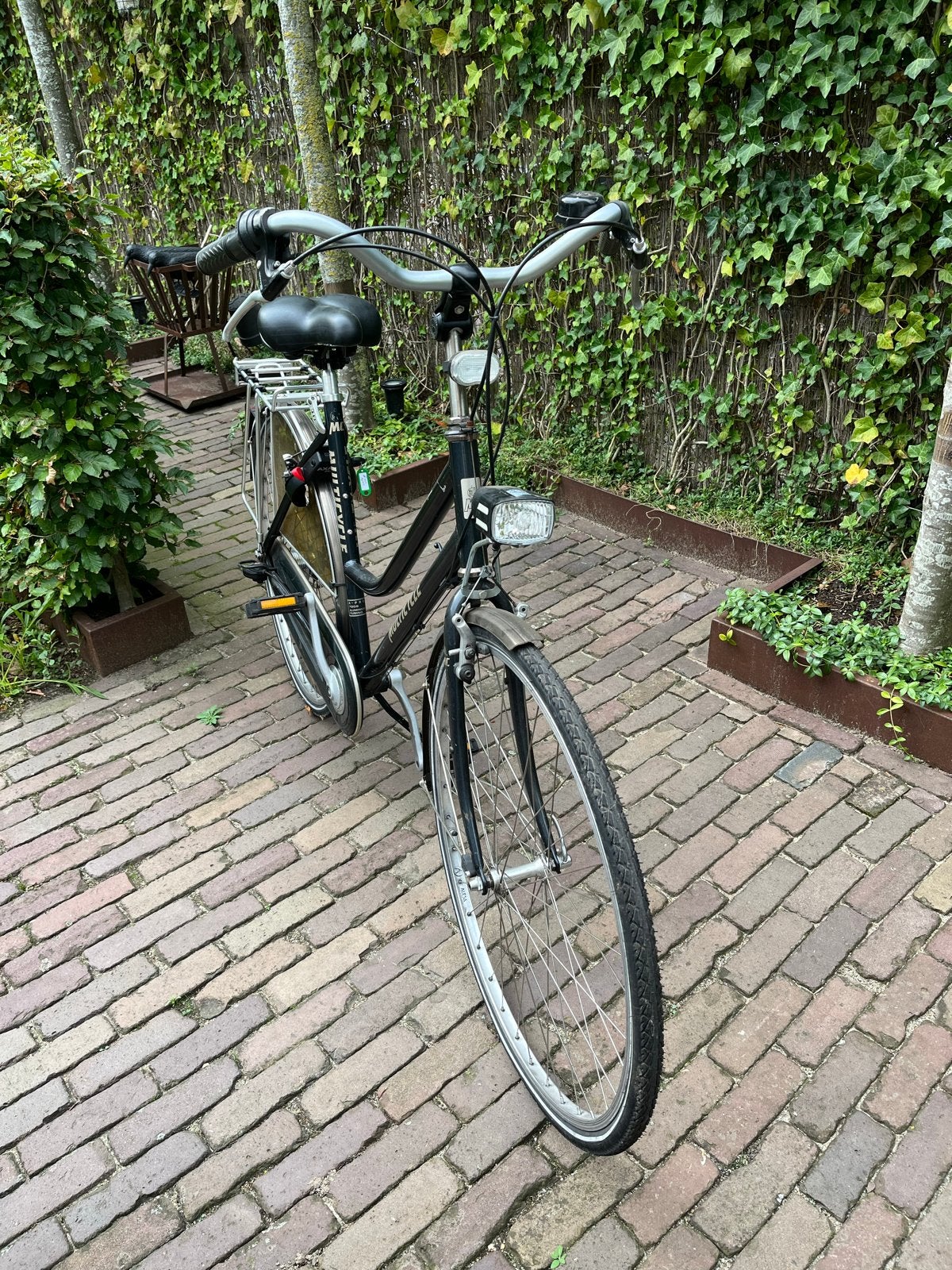 Multicycle damesfiets met lage instap, Velgrem, 50 tot 53 cm, Ophalen, Overige merken