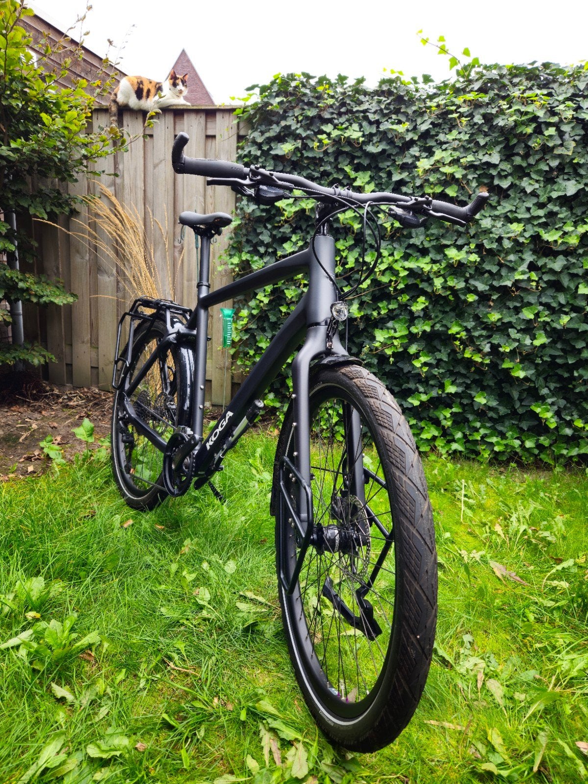 Koga Worldtraveller 2025 XL, 57 cm of meer, Heren, Zo goed als nieuw, Ophalen