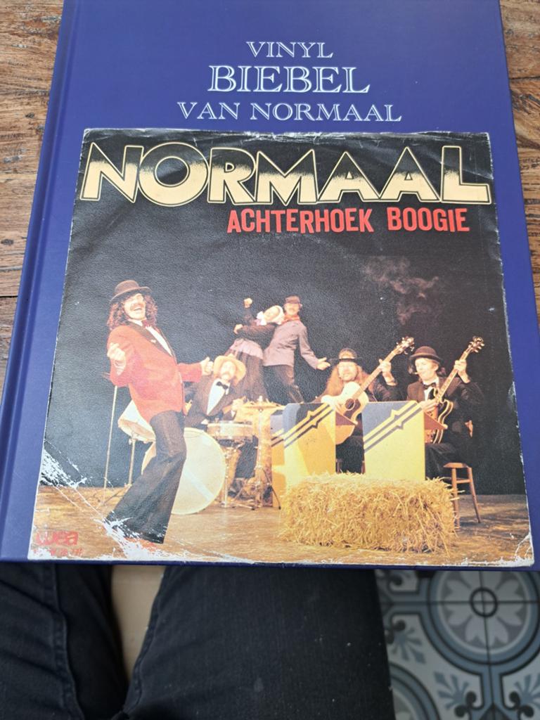 Normaal - Achterhoek Boogie (Vinyl Single)1981, Fotohoes, Ophalen of Verzenden, Gebruikt, Nederlandstalig