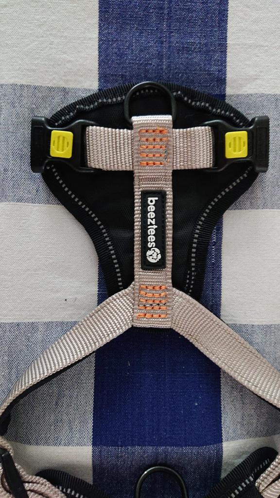 Beeztees Parinca Y-tuig – Grijs – Maat S/M (38–51 cm), Ophalen of Verzenden, Zo goed als nieuw