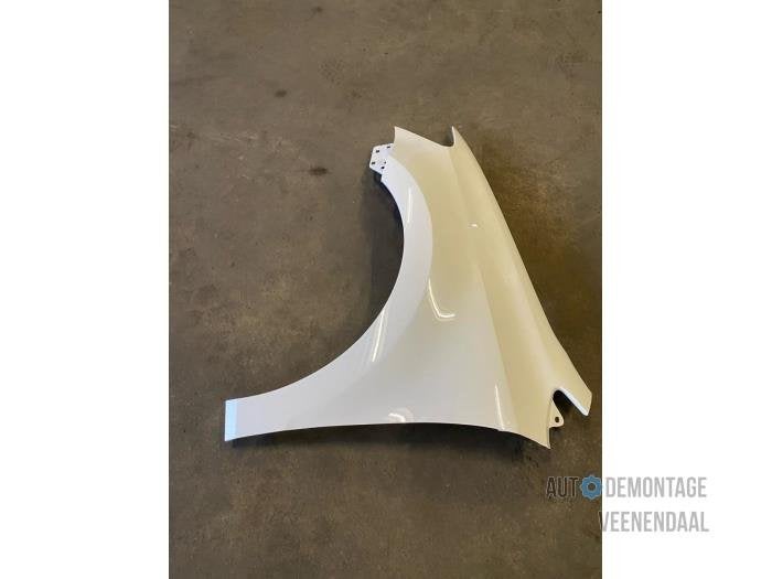 Scherm links-voor van een Volkswagen Polo (LB9A), -, Volkswagen, -, Nieuw