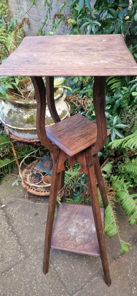 Prachtige Art Nouveau/Jugendstil plantentafel (brocante), Ophalen