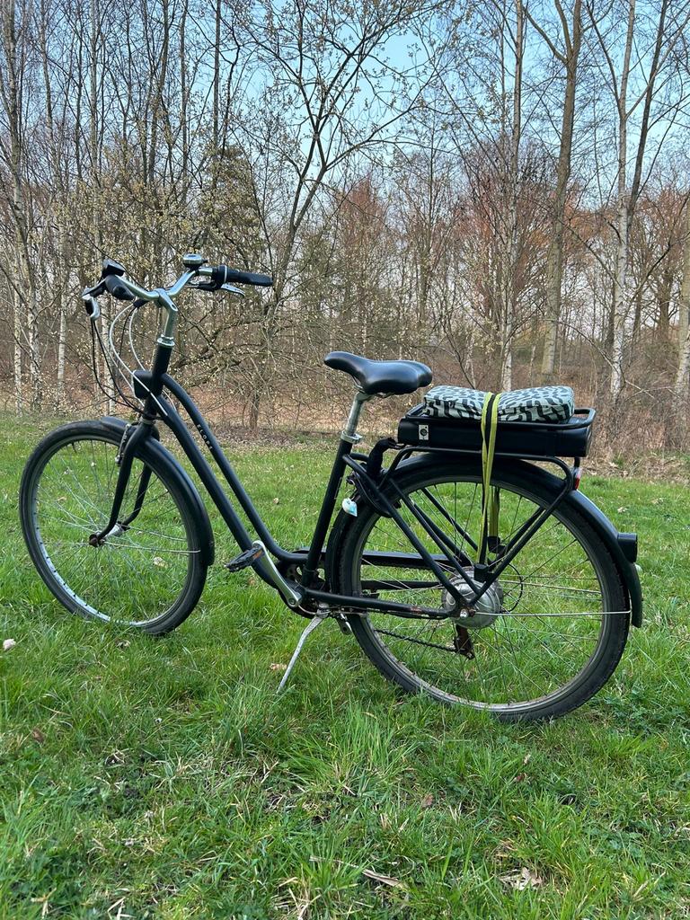 Elops 120 E elektrische fiets - 25km/u, 3 standen, 250W, Fietsen en Brommers, Elektrische fietsen, Overige merken, Gebruikt, Ophalen of Verzenden