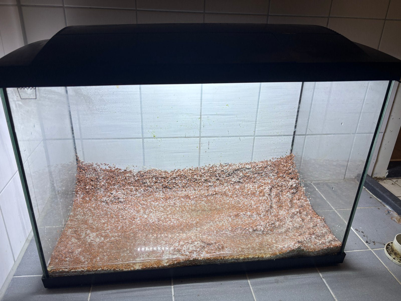 Aquarium, Ophalen