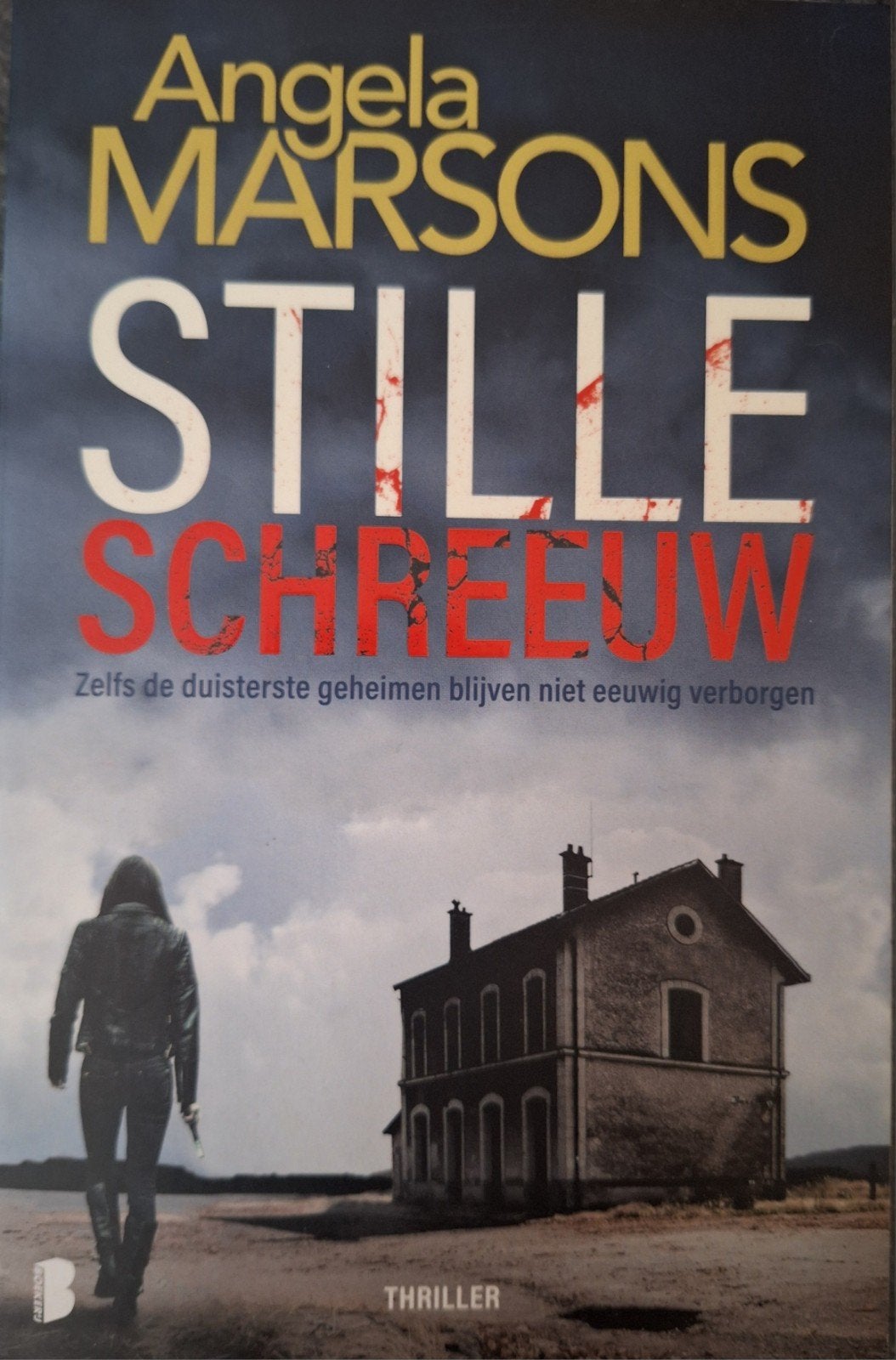 Verschillende boeken van o.a. Suzanne Vermeer en Carla Kovac, Ophalen, Zo goed als nieuw