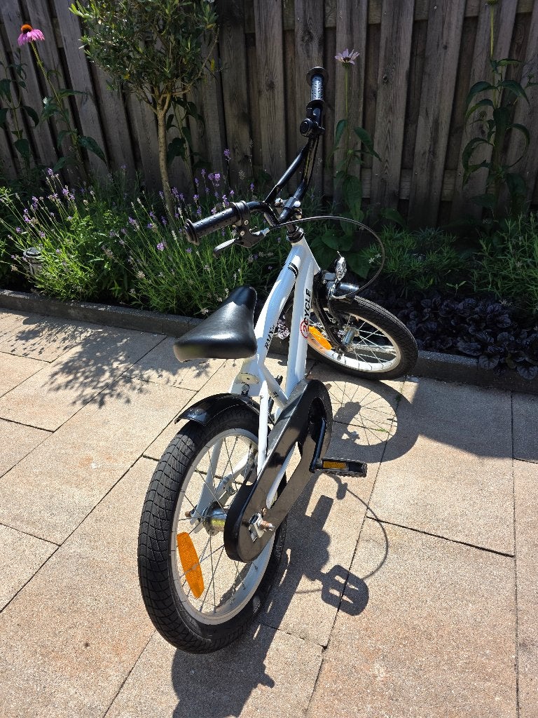 Kinderfiets, Ophalen, Terugtraprem, Zijwieltjes, 16 tot 20 inch