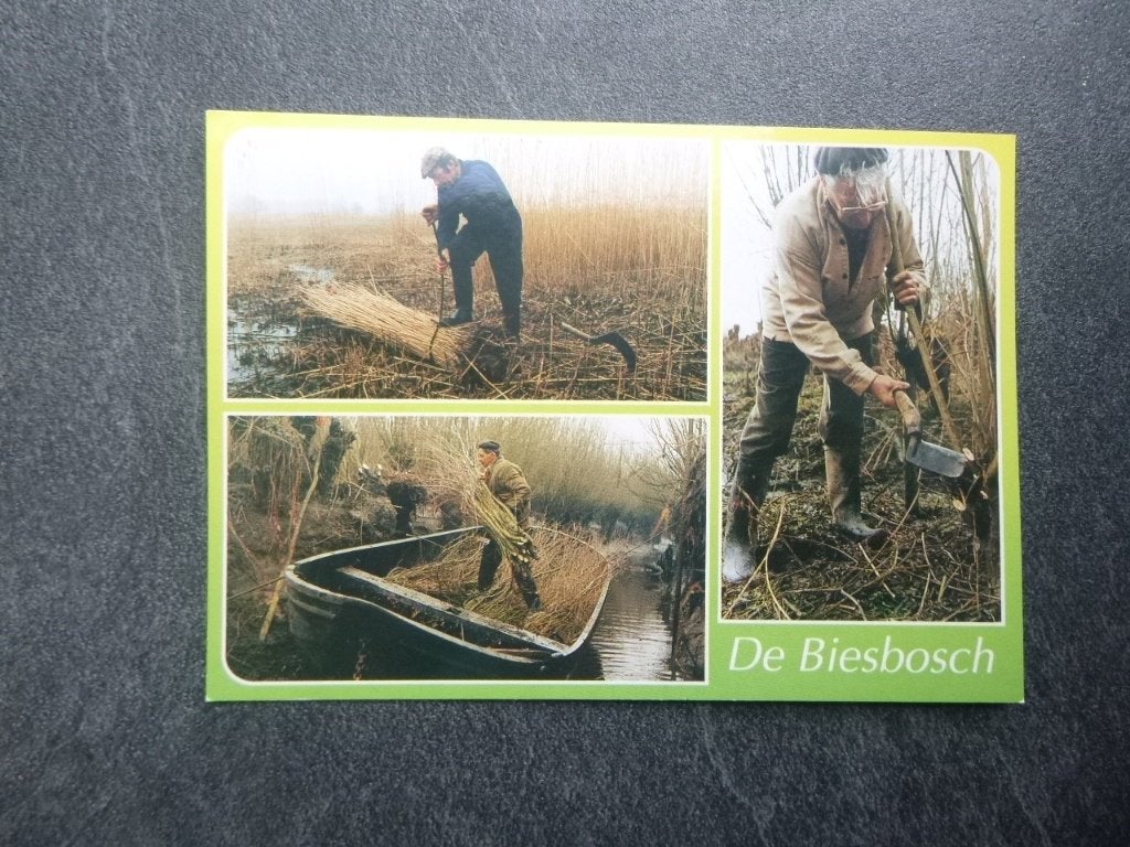 De Biesbosch, Rietsnijden, Verzenden, 1980 tot heden, Ongelopen, Noord-Brabant