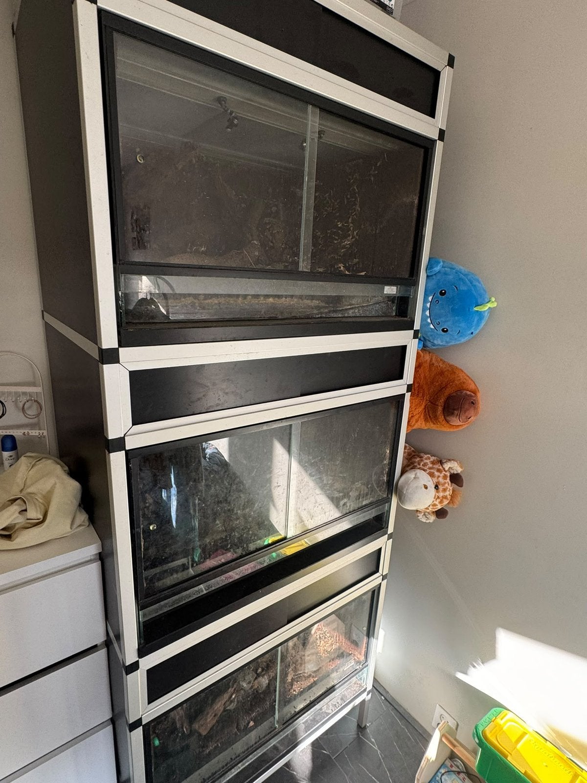 Te koop paludarium stelling, Ophalen, Gebruikt, Terrarium of Paludarium