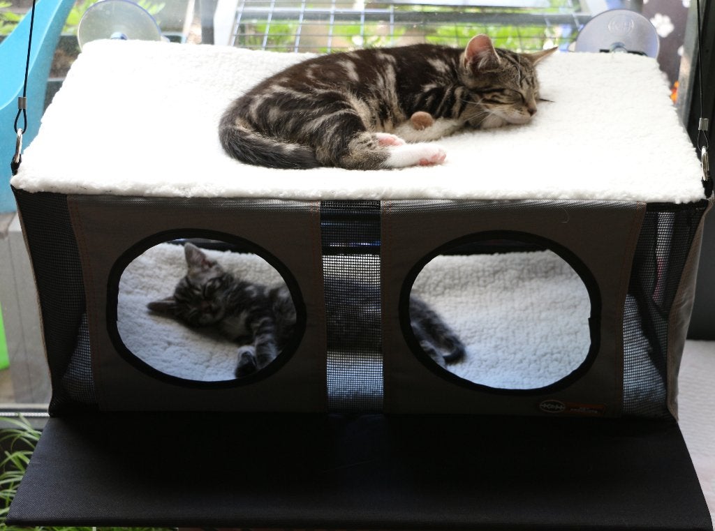 Kattenhangmat voor het raam - K&H EZ Mount Penthouse, Ophalen of Verzenden, Gebruikt
