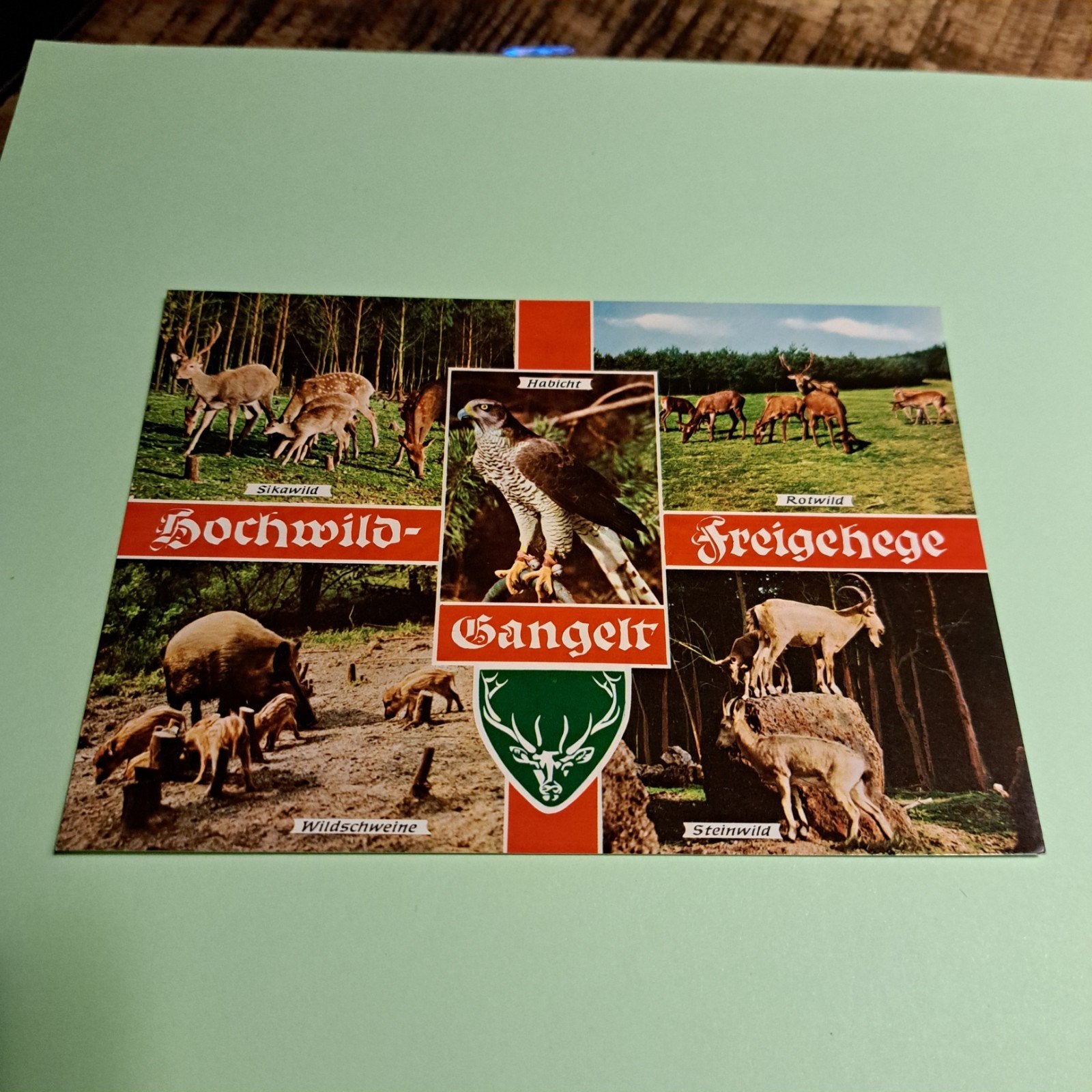 Ansichtkaart Wildpark Gangelt - Diverse Dieren, Ophalen of Verzenden, 1960 tot 1980, Ongelopen, Wild dier