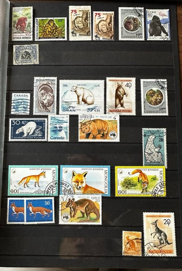 Postzegels met Dieren: Apen, Beren, Vossen, Kangoeroes, Ophalen of Verzenden
