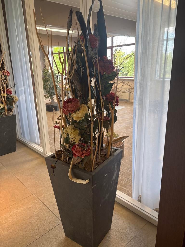 2 Lood Antraciet Bloempotten met Sierplanten, 190cm hoog, Ophalen, Gebruikt