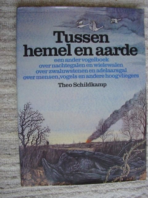 Tussen hemel en aarde. Beschouwingen hedendaagse religie, Ophalen of Verzenden, Zo goed als nieuw, Overige religies