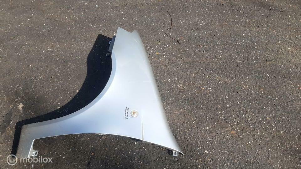 Spatscherm Fiat Punto, Gebruikt, Ophalen of Verzenden