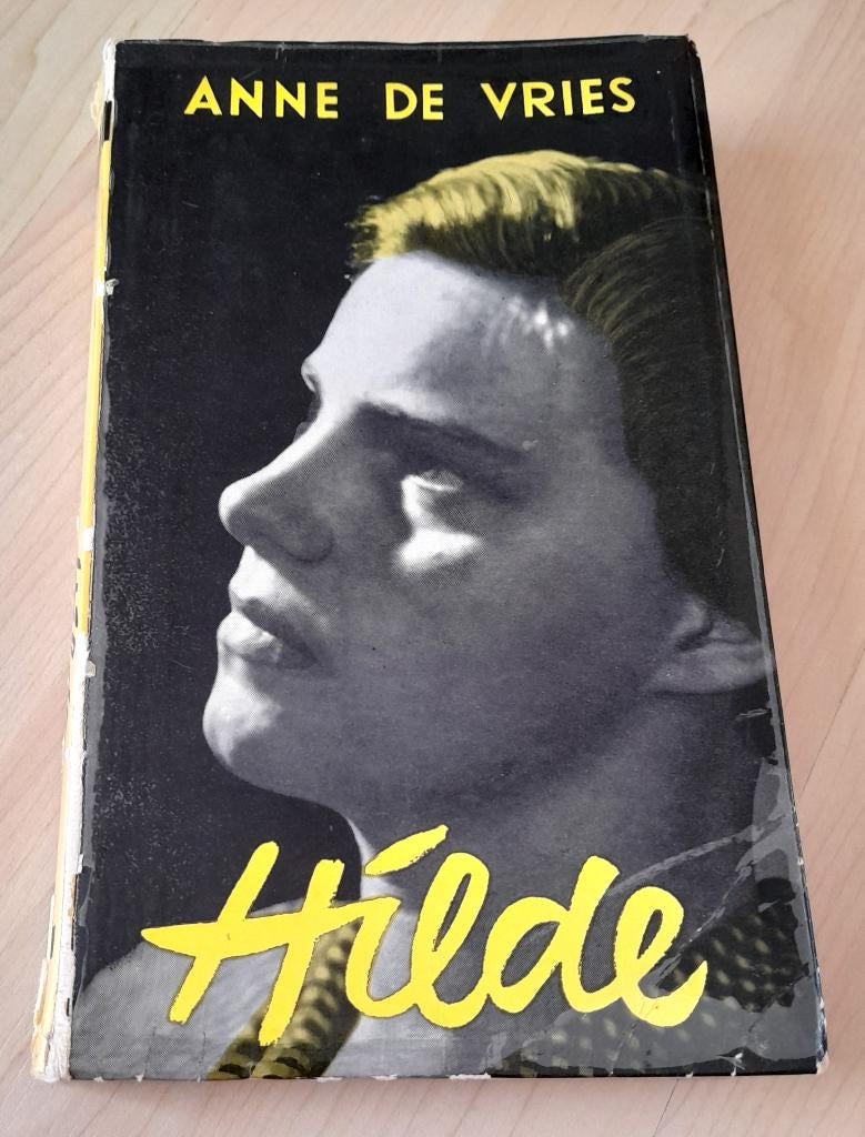 HILDE Anne de Vries, Ophalen of Verzenden, Gelezen, Nederland