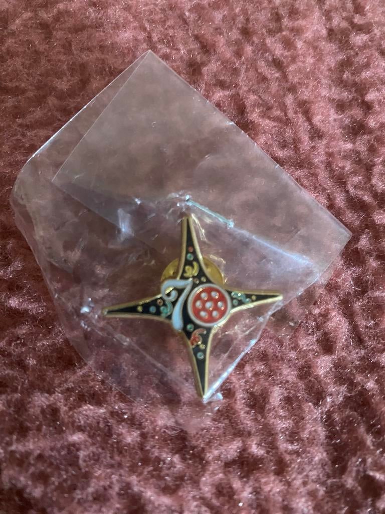 Pin 70 jaar Efteling, Verzenden, Zo goed als nieuw, Button of Speldje