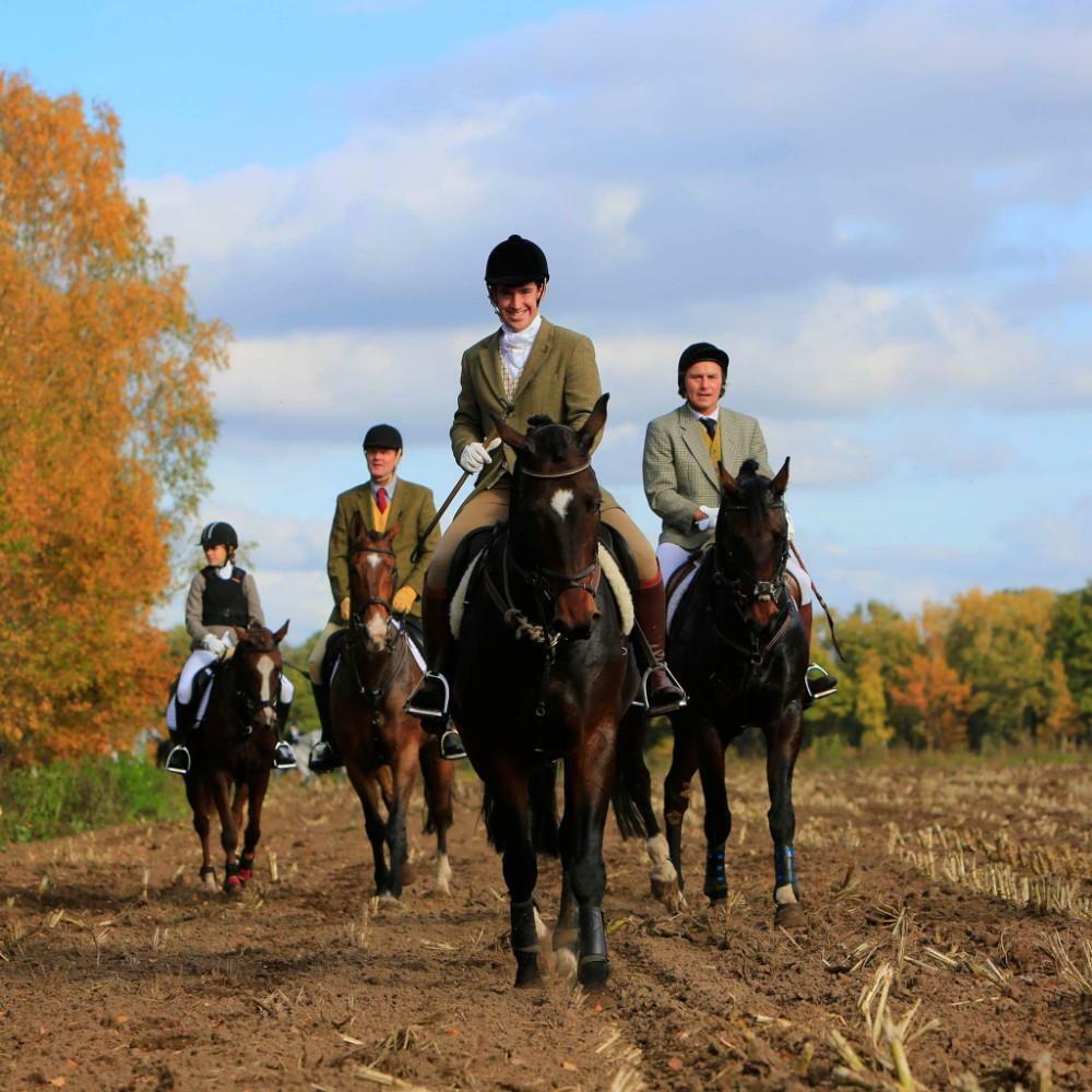 Allround equine services, Gedragstraining