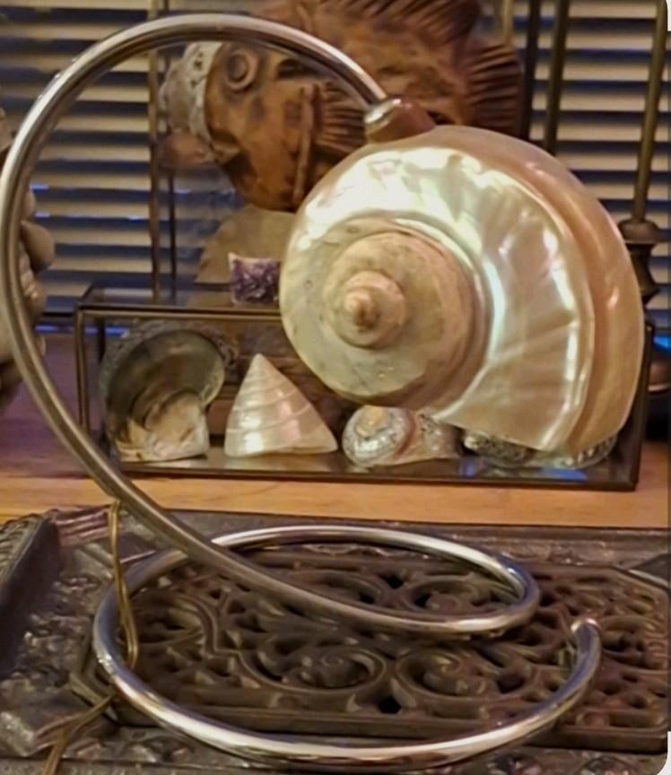 Parelmoer Turboschelp lamp, Ophalen