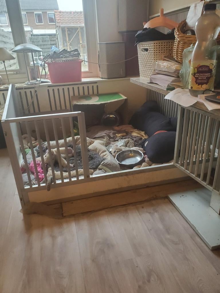 Werpkist eenmaal gebruikt, Dieren en Toebehoren, Hondenhokken, Ophalen, 110 cm of meer, Minder dan 65 cm
