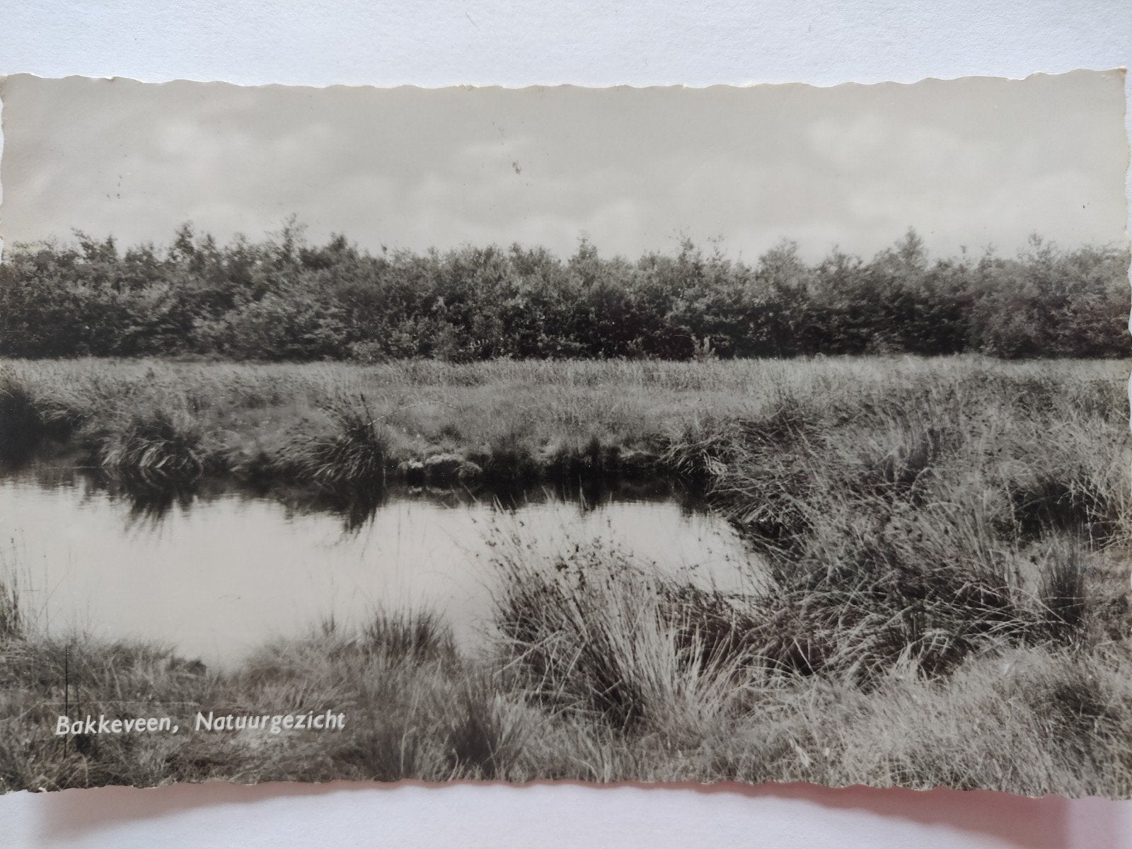 c1937 bakkeveen, Ophalen of Verzenden, 1920 tot 1940