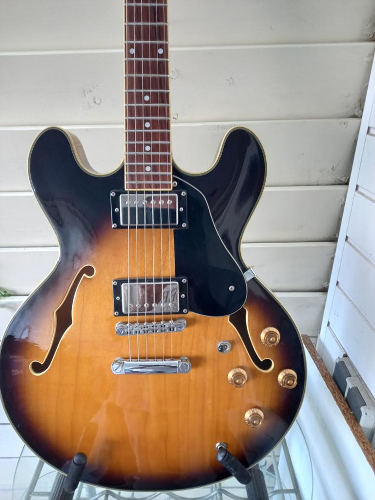 Te koop Semi hollow body Richwood gitaar met Gibson upgrades, Muziek en Instrumenten, Snaarinstrumenten | Gitaren | Elektrisch