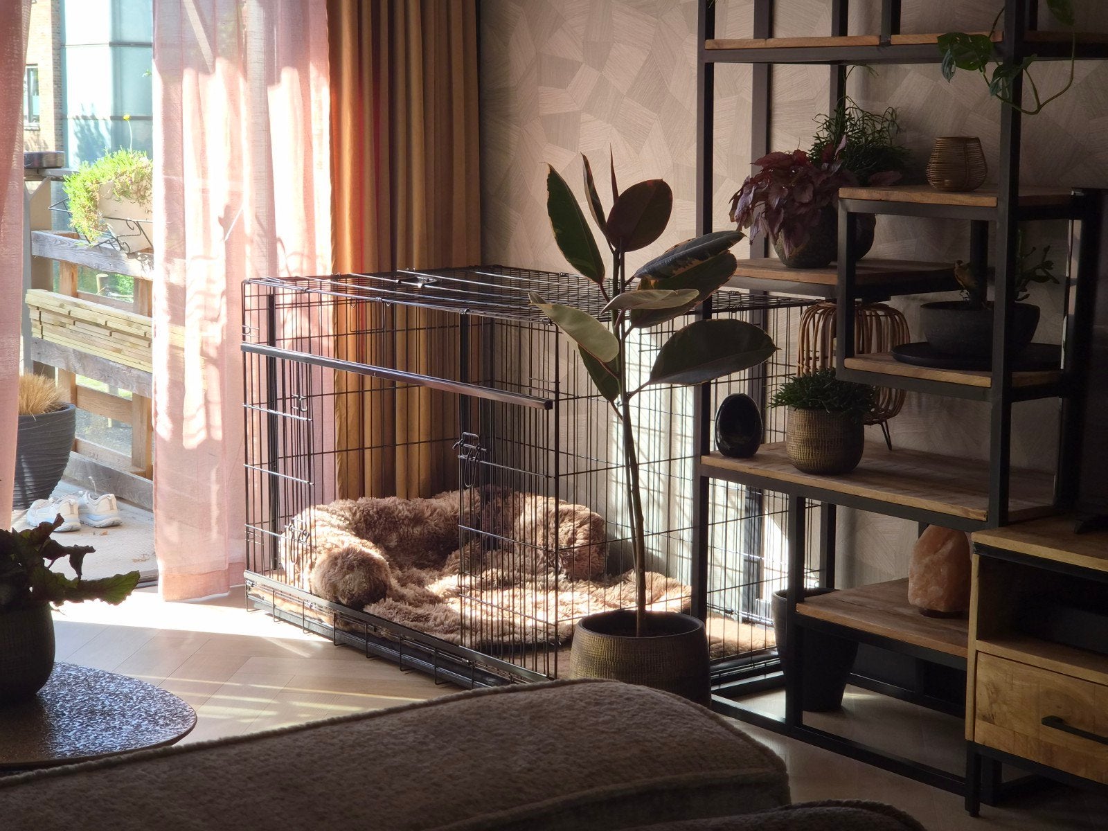 Nieuwe Bench, formaat grote hond, inclusief matras en vetbed, Ophalen, Nieuw, Zwart, Tapijt