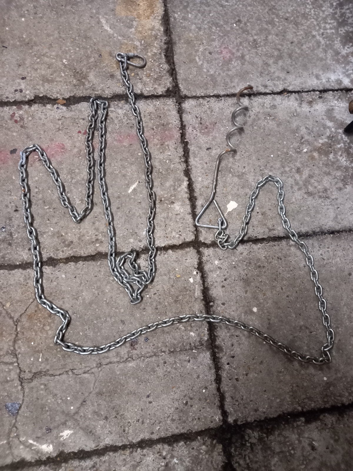 Pen +ketting +karabijn haak, Teef, Eén hond, 3 tot 5 jaar, Nederland