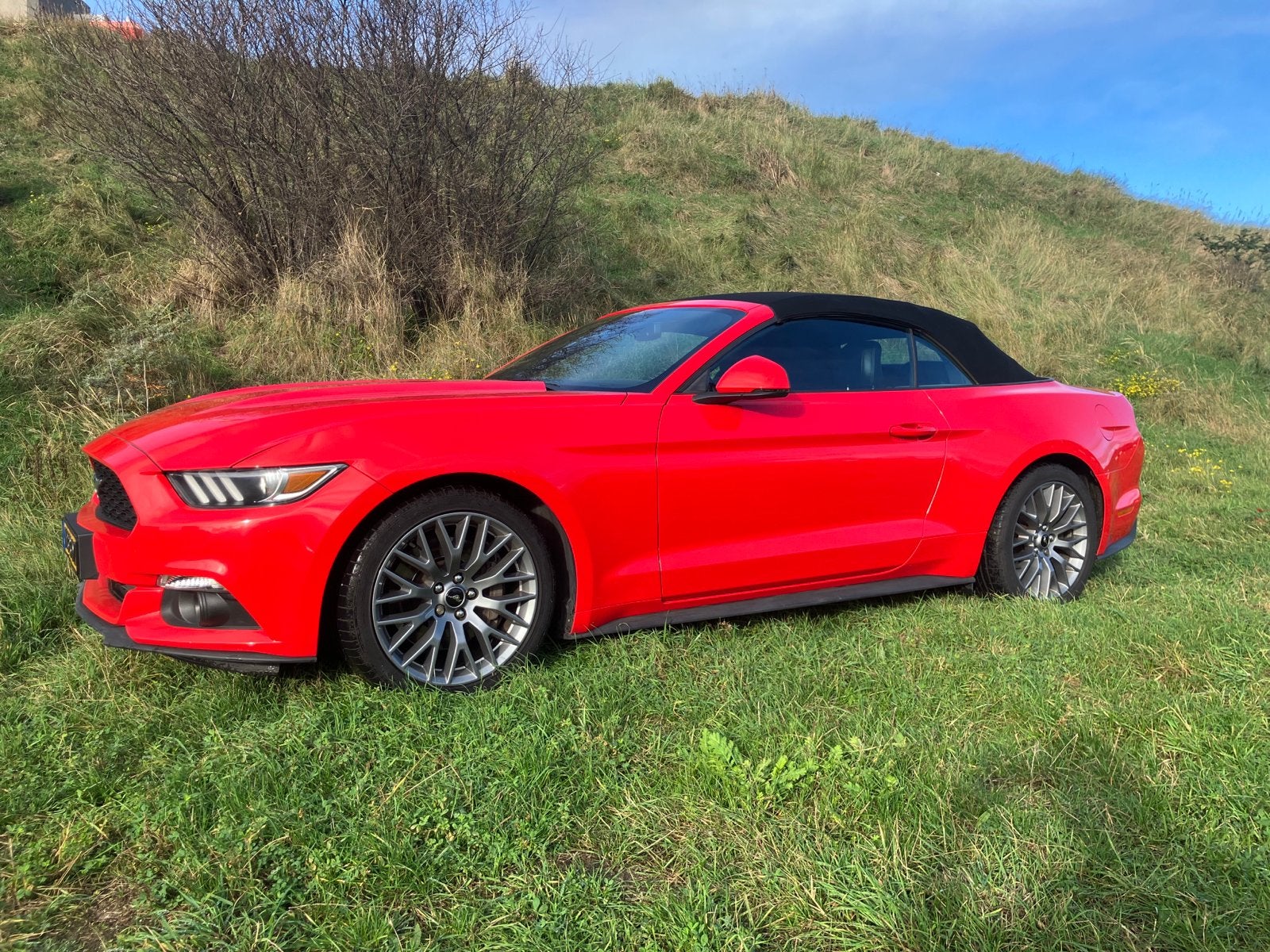 Ford Mustang 2.3 Ecoboost Convertible 2016 Rood, 4 cilinders, Cabriolet, 2261 cc, Handgeschakeld