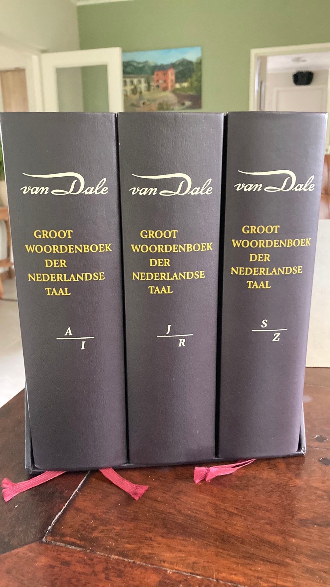 Van Daele groot woordenboek der Nederlandse taal, Ophalen of Verzenden, Zo goed als nieuw, Van Dale, Nederlands