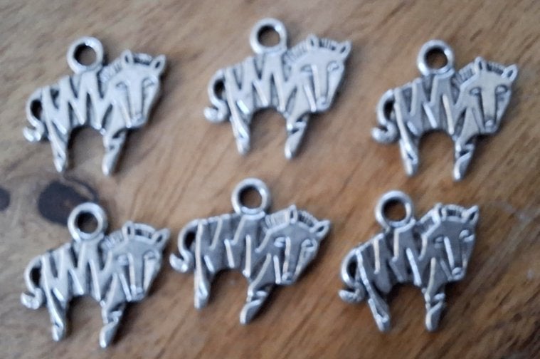 6 stuks bedel Gnoe. 19,4x16,2 mm-, Ophalen of Verzenden, Nieuw, Bedel