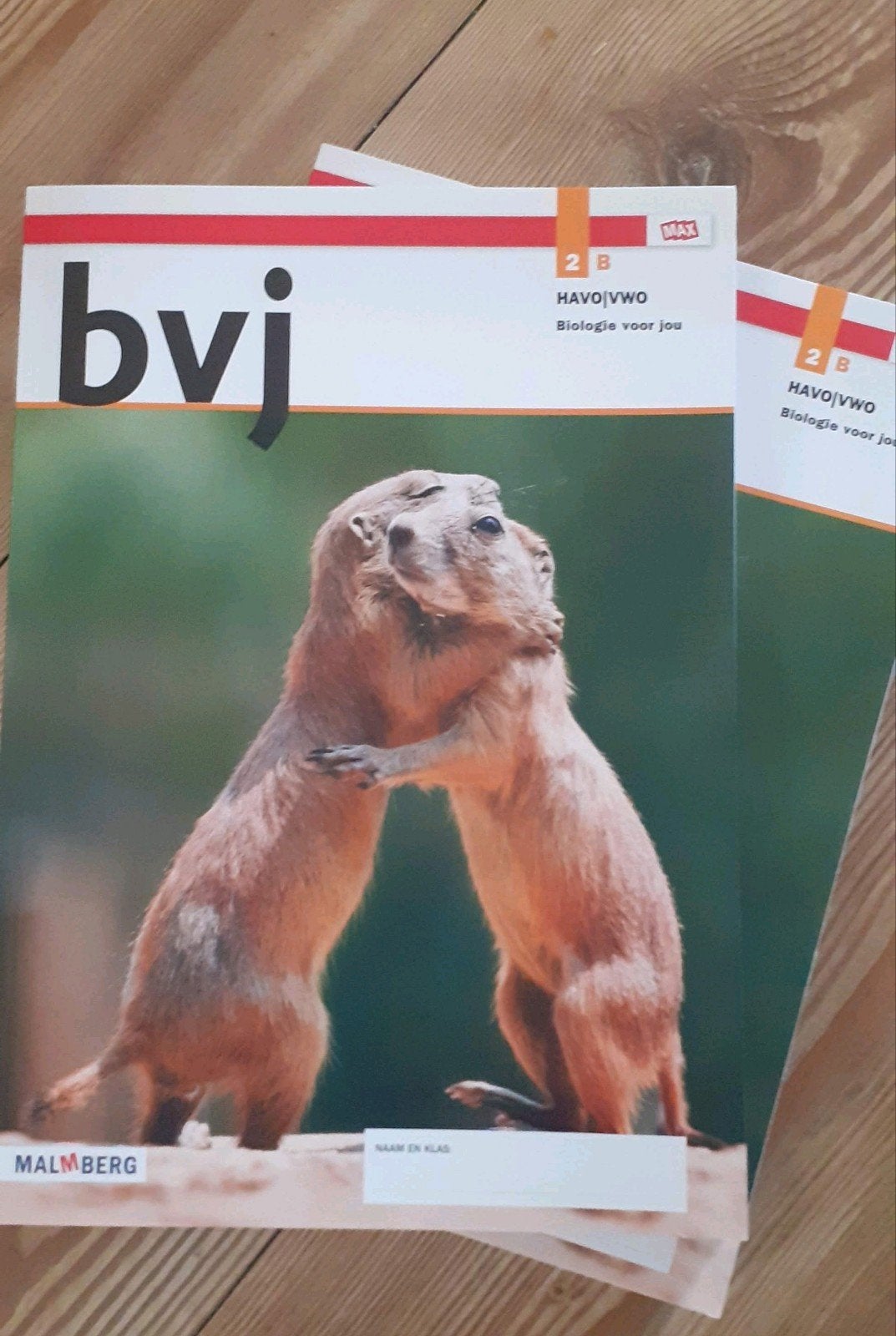BVJ Biologie 2B -Havo/VWO -9789402072792/Werkboek Schoolboek, Malmberg, Biologie, Ophalen of Verzenden, HAVO