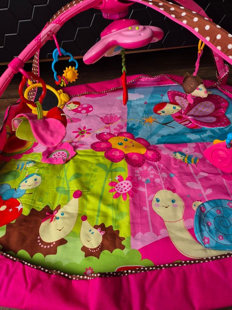 Tiny love speelkleed met muziek, Ophalen, Gebruikt