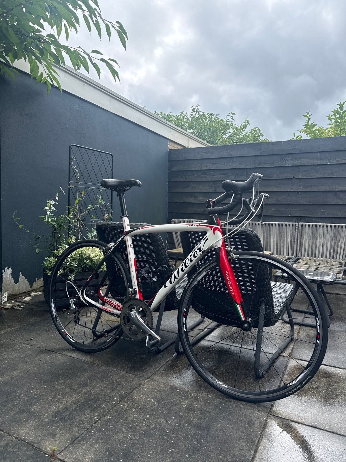 Wilier Cento 101 met Dura-Ace afmontage, 28 inch, Gebruikt, Carbon, Meer dan 20 versnellingen
