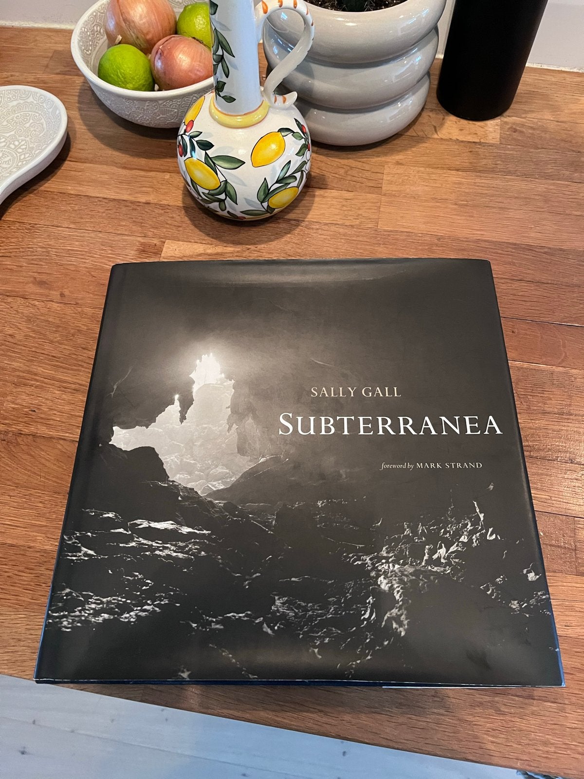 Sally Gall - Subterranea (Fotoboek), Verzenden, Gelezen, Fotografie algemeen