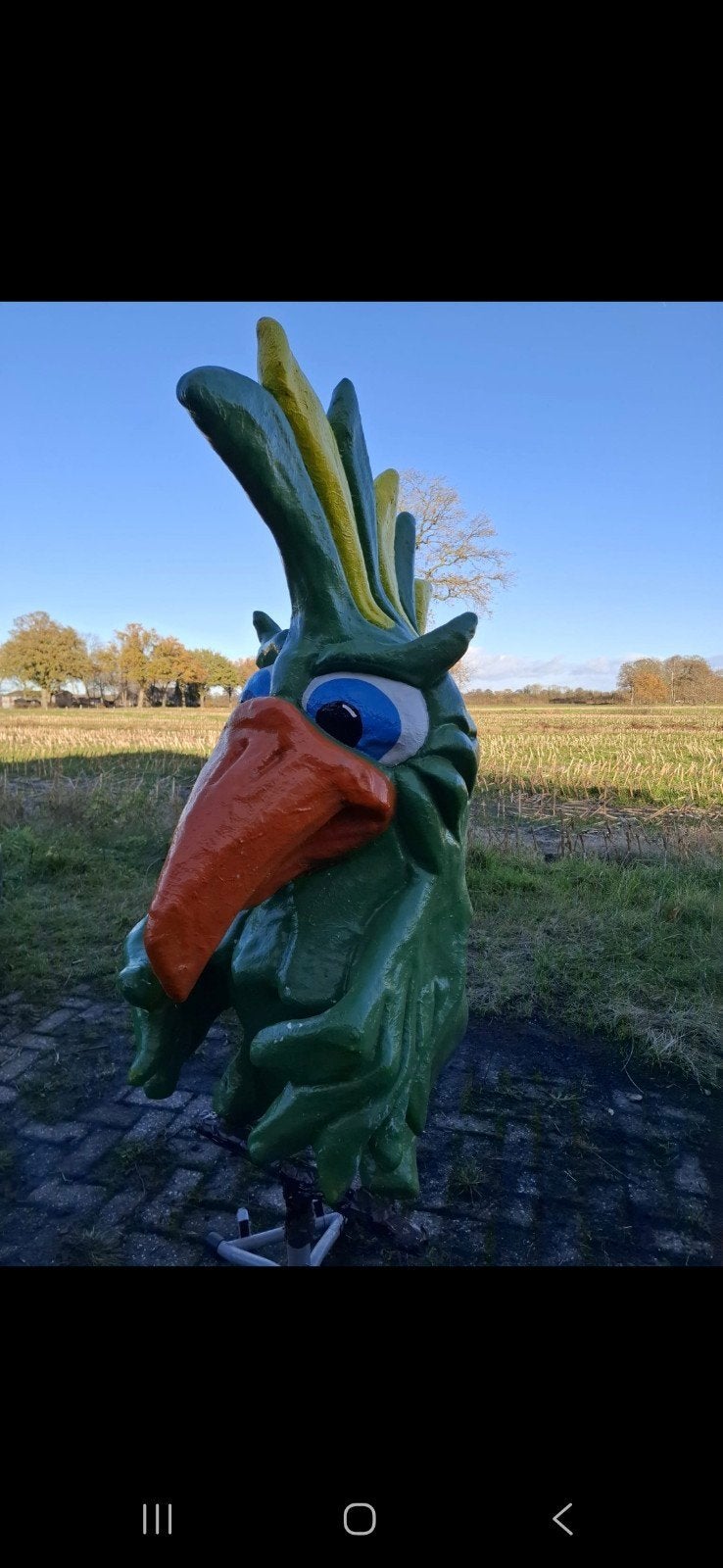 Polyester vogels voor carnavalswagen, Ophalen of Verzenden