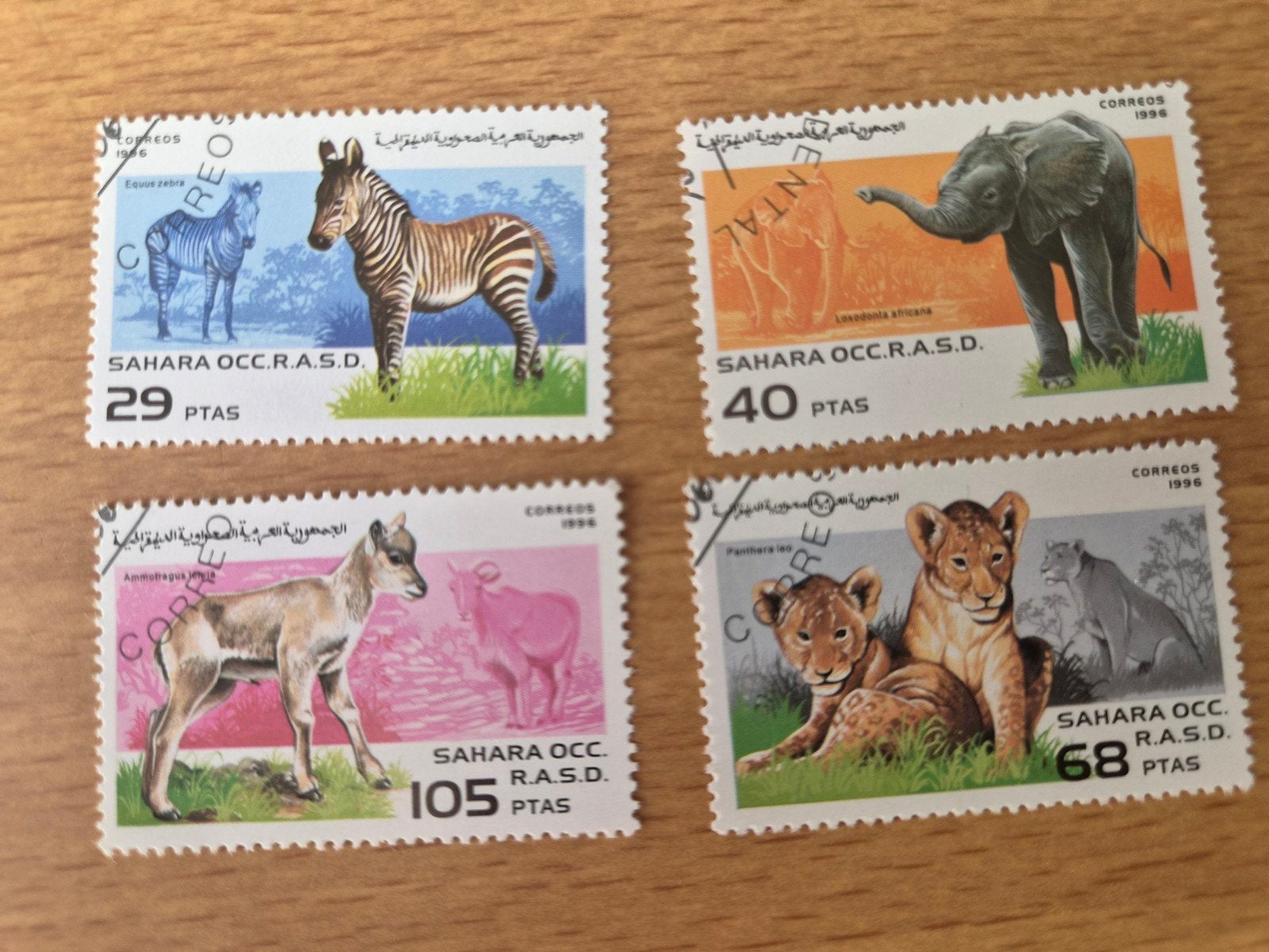 Sahara occ.r.a.s.d., Ophalen of Verzenden, Overige landen