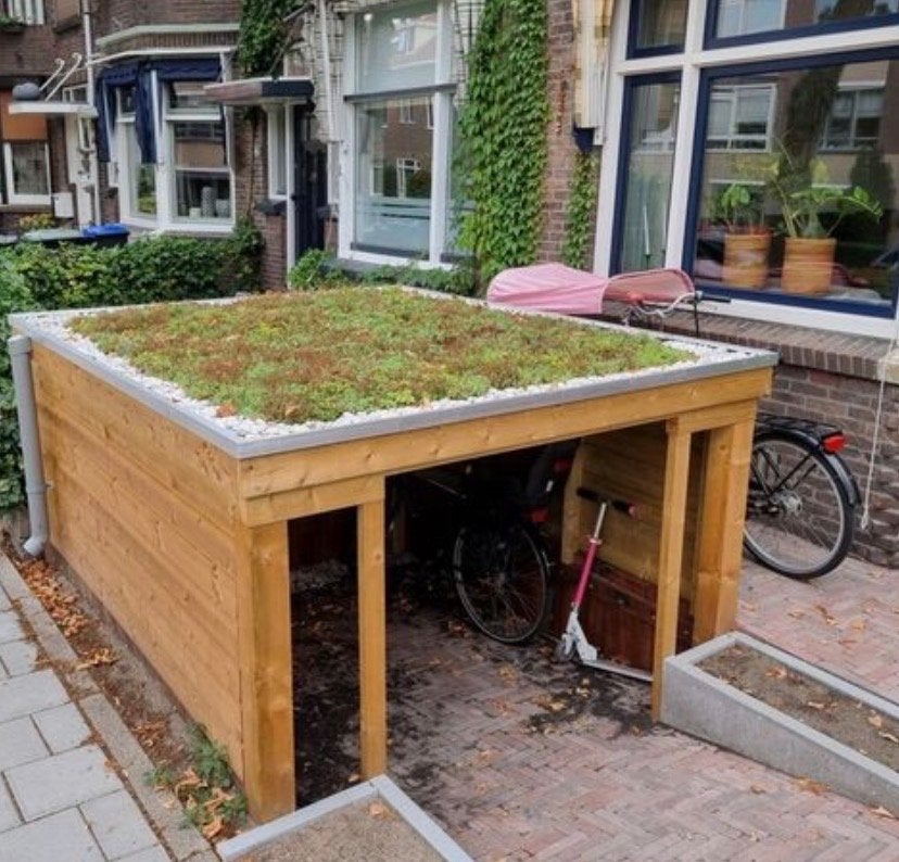 Sedum voor groen dak of bodembedekking - Cor Derksen, Bodembedekkers, Volle zon, Vaste plant, Ophalen of Verzenden
