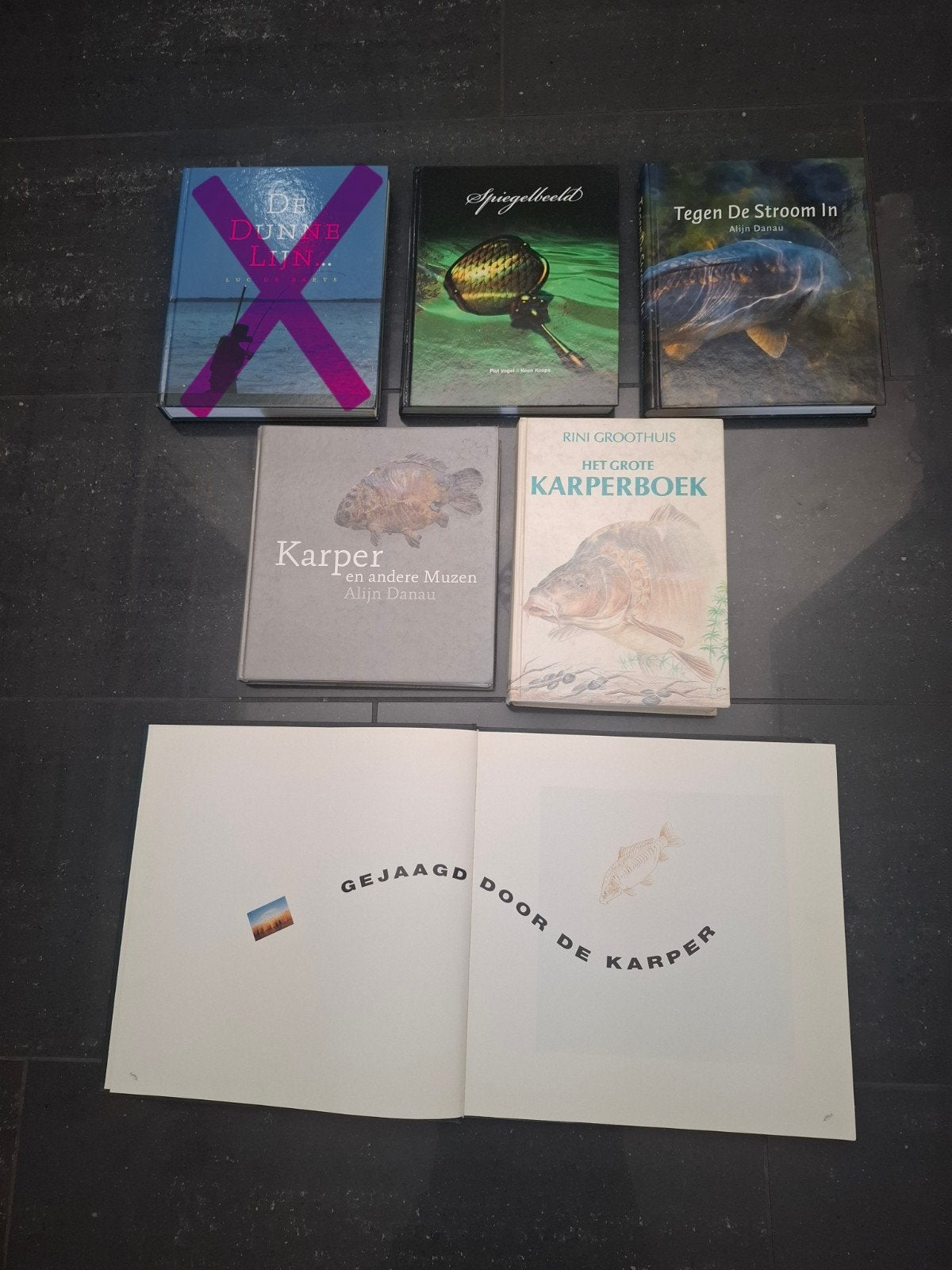 div karperboeken 5 stuks (geen fox delkim trakker nash), Ophalen of Verzenden, Gebruikt, Overige typen
