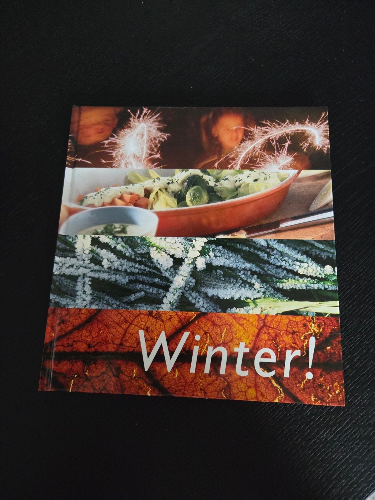 P. Kragten - Winter, Ophalen of Verzenden, Zo goed als nieuw, P. Kragten
