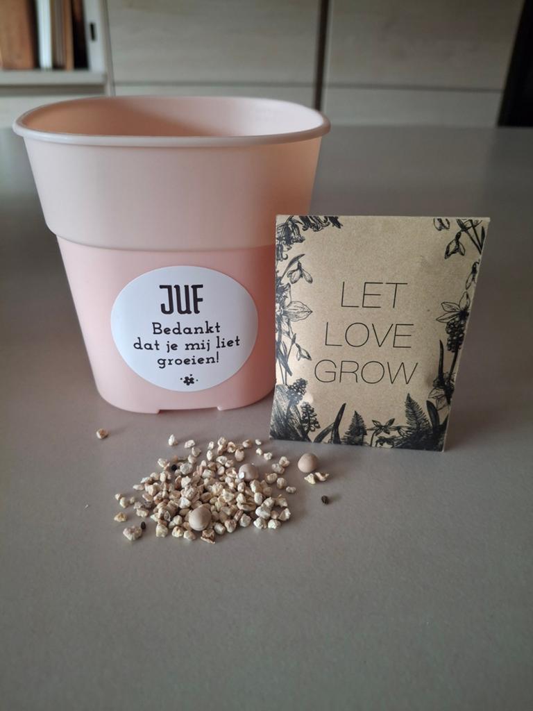 Bedankje juf: Plantpotje met zaadjes 'Bedankt', Ophalen of Verzenden, Gehele jaar, Halfschaduw, Zaad