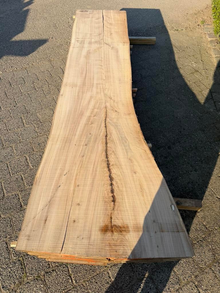Mooie iepen boomstambladen 250x50x3,5 cm, Ophalen, Zo goed als nieuw, 250 cm of meer, Planken