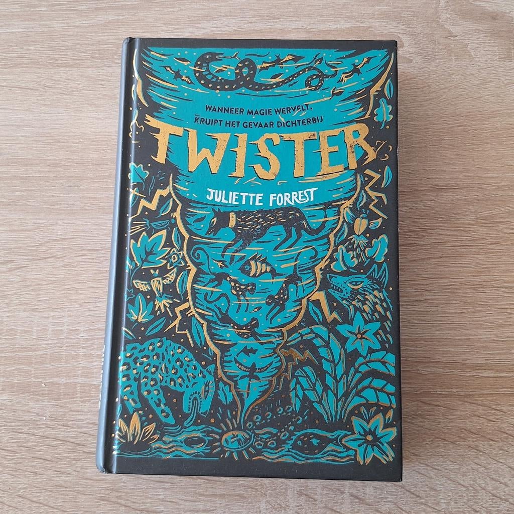 Twister - Juliette Forrest, Boeken, Ophalen of Verzenden, Zo goed als nieuw, Juliette Forrest, Fictie algemeen