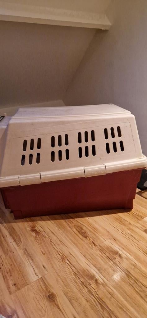 Petmate hondenbench, Dieren en Toebehoren, Transportboxen, Ophalen, Gebruikt