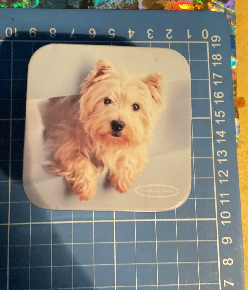 Doosje met hondje rachael hale, Ophalen of Verzenden
