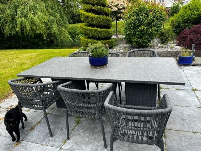 6‑persoons tuintafel natuursteen blad 220x100x76 — netjes, Tuin en Terras, Ophalen, Zo goed als nieuw, Rechthoekig, Overige materialen