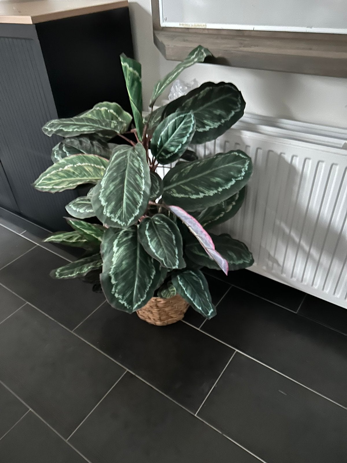 Planten (kunst plant), Ophalen, Overige soorten, Halfschaduw, Minder dan 100 cm