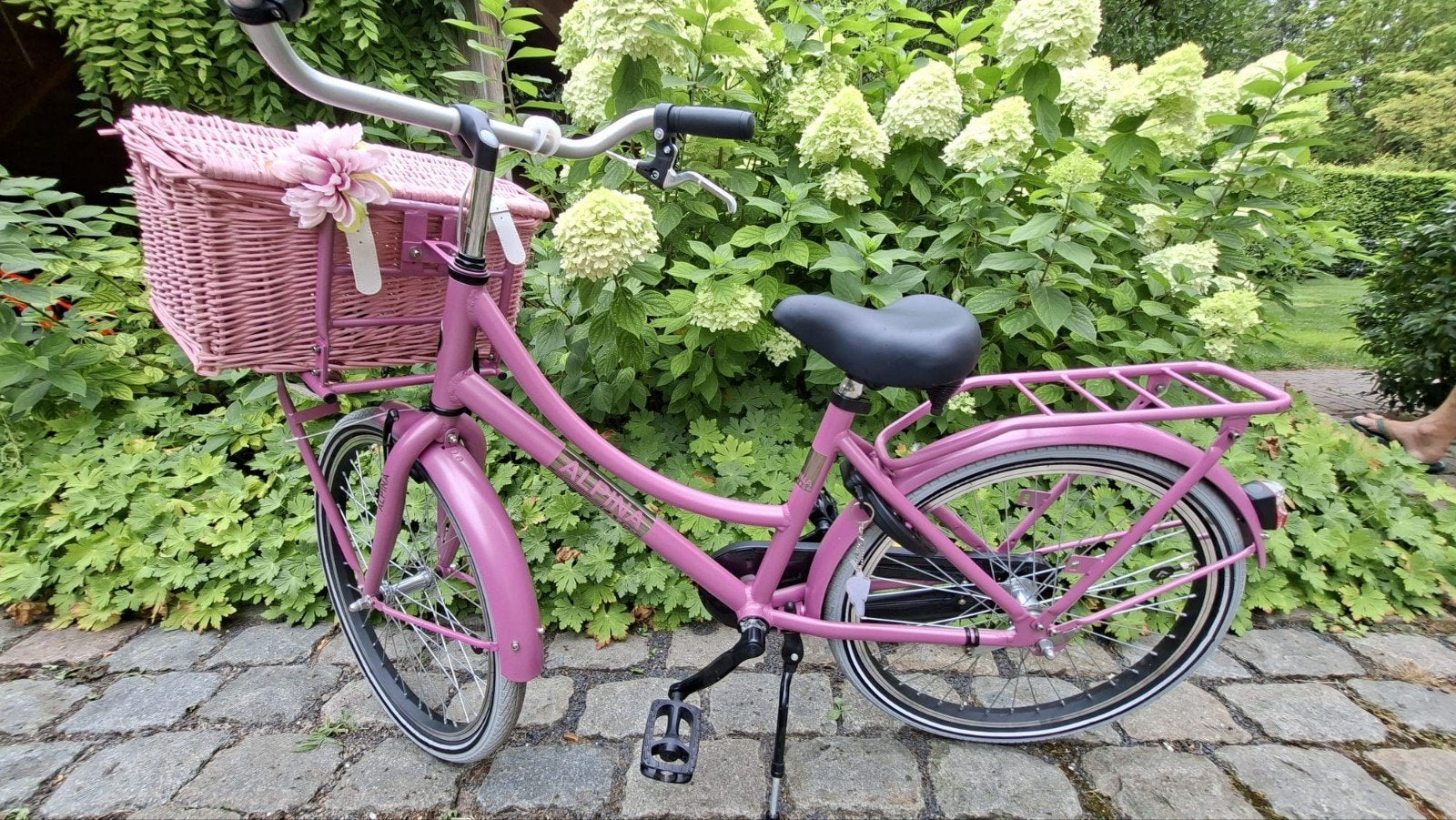 Roze Alpina Cargo meisjesfiets 22 inch - Zo goed als nieuw, Fietsen en Brommers, Fietsen | Meisjes, Ophalen, Zo goed als nieuw