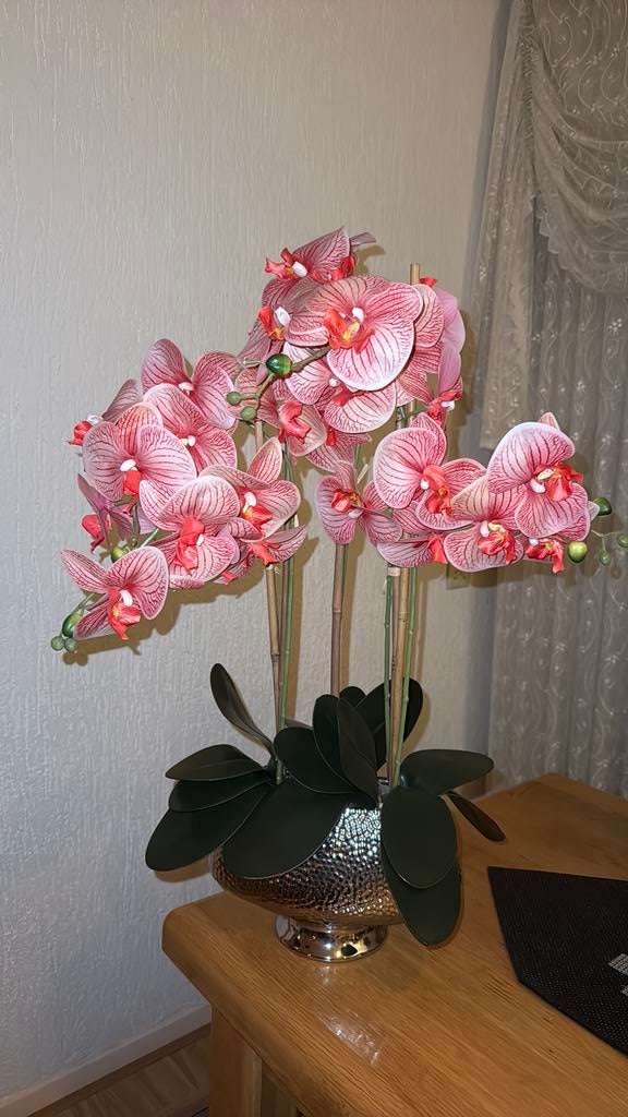 Orchidee, Ophalen of Verzenden, Zo goed als nieuw