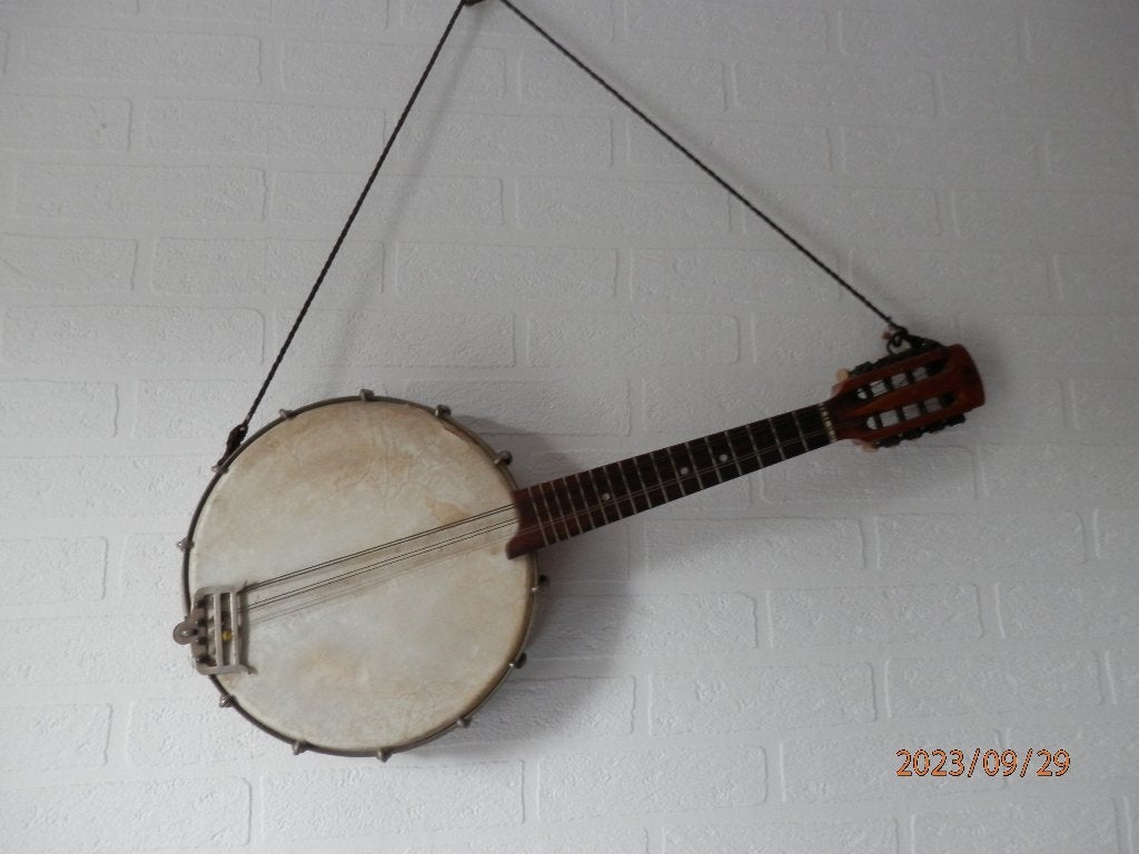 Banjo Bandoline, Ophalen of Verzenden, Gebruikt